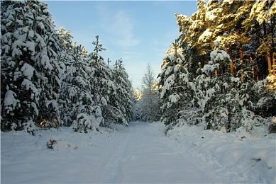 Nexton社30周年项目公布 《ONE辉之季节》或将重制